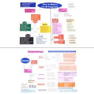  How to Make a TCVM Diagnosis Chart