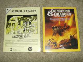 Lot Adventures in Blackmoor DA1 w/ Map #9172 + In Search of the 