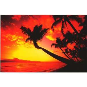 Hawaiian Sunset   Photography Poster   24 x 36