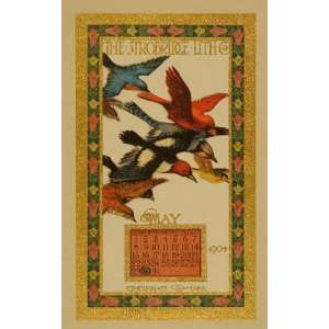  1908 Strobridge Lithograph Calendar Art Nouveau Birds 