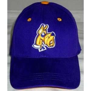  Albany Great Danes NCAA Youth 1 Fit Hat