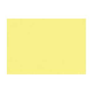  Tombow Dual Brush Pen Markers   Box of 6   Pale Yellow 