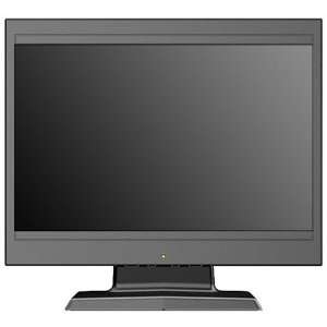  Synaps 15.4 Widescreen LCD Monitor / Computer Monitor 