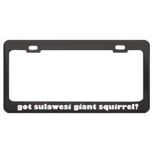 Got Sulawesi Giant Squirrel? Animals Pets Black Metal License Plate 