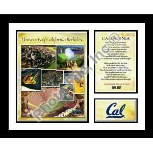  University of California Berkley Cal Golden Bears NCAA 