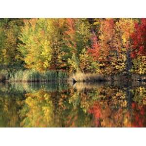  Pond, Green Mountain National Forest, Vermont, USA Landscape 