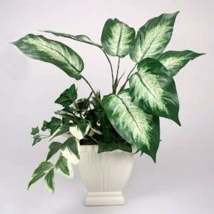  20 Greenery Dieffenbachia Silk