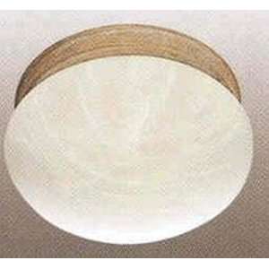  Volume Ceiling Light V7790 2