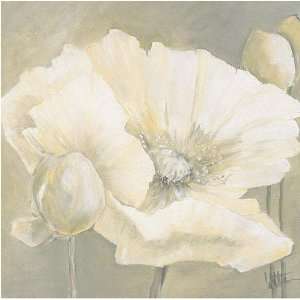  Poppy In White II by Jettie Roseboom. Size 27.5 inches 