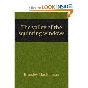  The valley of the squinting windows Brinsley MacNamara 