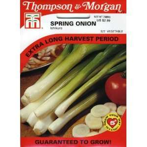   527 Scallion Ishikuro (Spring Onion) Seed Packet Patio, Lawn & Garden