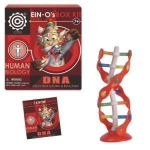  EIN Os DNA Box Kit by TEDCO Toys & Games