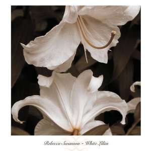  White Lilies   557772 Patio, Lawn & Garden