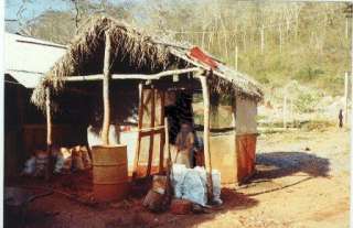 The sorting hut Here is where the production is washed and sorted.