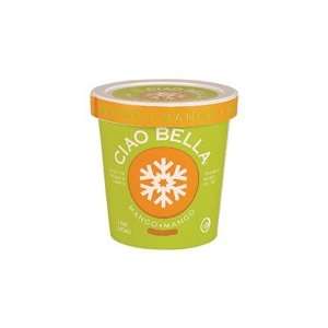 Ciao Mango Sorbet, Size 16 Oz (Pack of 8)  Grocery 