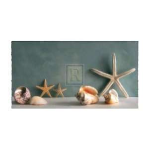 Starfish IV by Bill Philip 10x6 