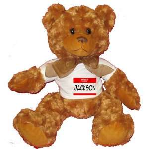   my name is JACKSON Plush Teddy Bear with WHITE T Shirt Toys & Games