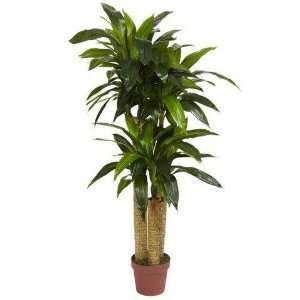  Exclusive By Nearly Natural 4 Ft Corn Stalk Dracaena Silk 
