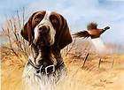 James Killen Great Hunting Dogs German Shorthair  