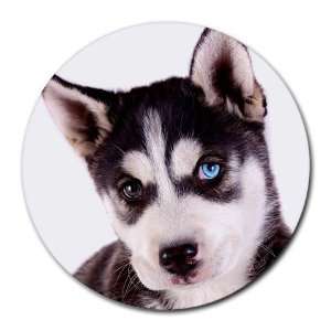  Siberian Husky Puppy Dog 16 Round Mousepad BB0630 