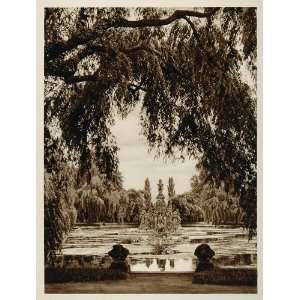   Park Tree Wurzburg Germany   Original Photogravure