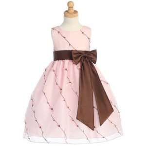   and Brown Embroidered Organza Dress (10)   M618PNK 