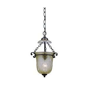 Crystorama Camden 5761 BU Handpainted Wrought Iron Etched Glass Bell 