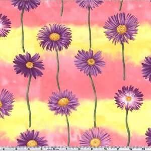  45 Wide Flower of the Month September 07 Aster Stems 