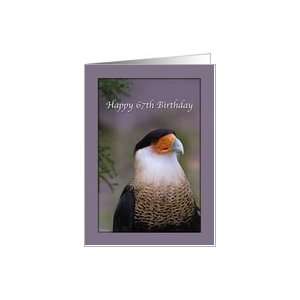  67th Birthday Card with Crested Caracara Bird Card Toys & Games