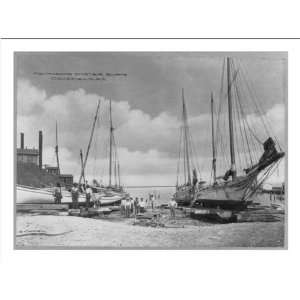  Historic Print (M) [Maryland. Crisfield. Oyster boats 