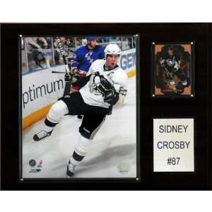  NHL Sidney Crosby Pittsburgh Penguins Player Plaque