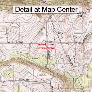  USGS Topographic Quadrangle Map   Seeley Creek, New York 