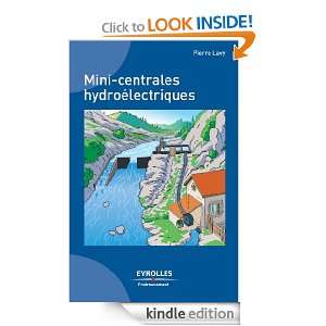 Mini centrales hydroélectriques (Eyrolles environnement) (French 