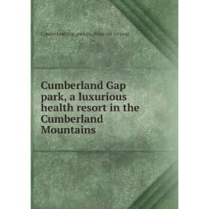   resort in the Cumberland Mountains Cumberland Gap park co. [from old