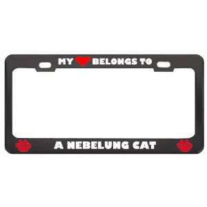 My Heart Belongs To A Nebelung Cat Animals Pets Metal License Plate 
