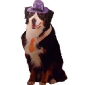  Dog Hat & Tie Costume Business Man Pet Executive Small 5 