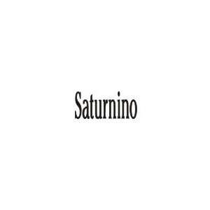  Saturnino Laser Name Italian Charm Link Jewelry