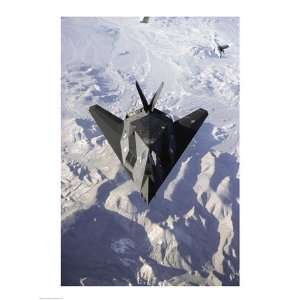  US Air Force F 117 Stealth Fighter 18.00 x 24.00 Poster 