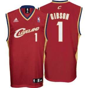 Daniel Gibson Youth Jersey adidas Maroon Replica #1 Cleveland 