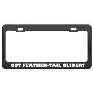 Got Feather Tail Glider? Animals Pets Black Metal License Plate Frame 