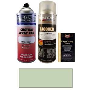 12.5 Oz. Sage Green Poly Spray Can Paint Kit for 1965 Chrysler All 
