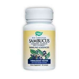  Sambucus Immune System Lozenges 30 loz   Natures Way 
