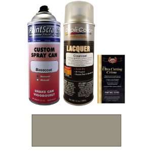  12.5 Oz. Light Graphite (Interior) Spray Can Paint Kit for 