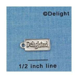  C4249+ tlf   Delighted Rectangle   Silver Plated Charm 