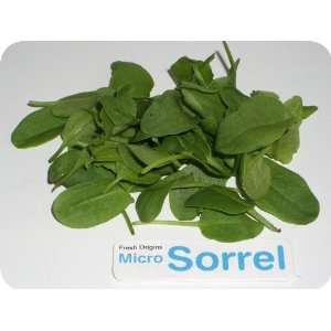 Micro Greens   Sorrel   4 x 4 oz  Grocery & Gourmet Food