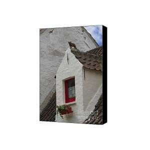  Animal Statue on the Dormer Roof of a House in Bruges 