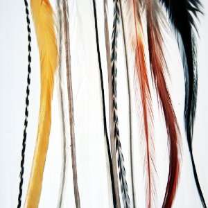  Natural Beauty   Feather Hair Extension Beauty