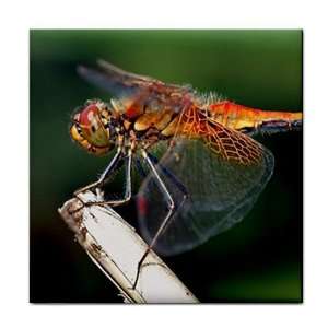 Dragonfly Ceramic Tile Coaster Great Gift Idea Office 