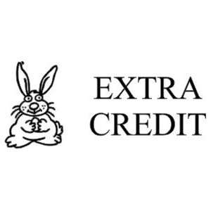  Extra Credit Bunny   Orange