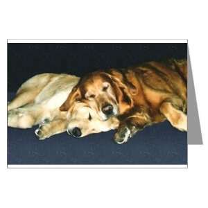 Old Friends Golden Retriever Greeting Cards Pk of Pets Greeting Cards 